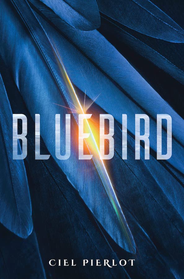 Image of the cover for Bluebird by Ciel Pierlot